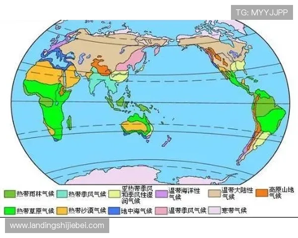 历届世界杯举办地点的地理位置与气候条件对比赛的影响